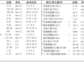 求助：肺癌初诊分析及后续治疗方案