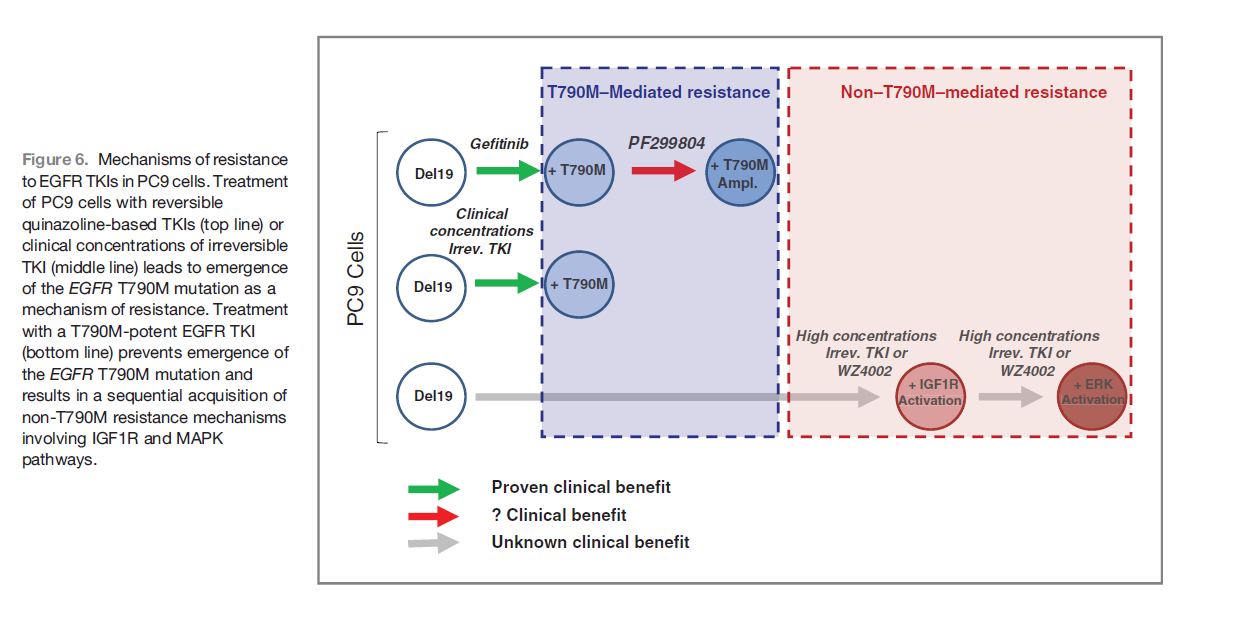 T790M-Mediated resistance.PNG