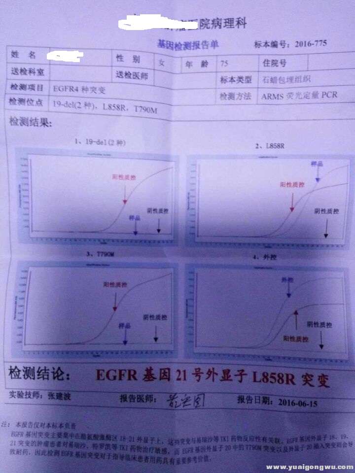 前期基因检测