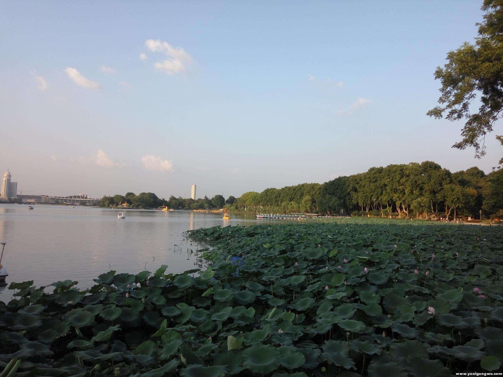 玄武湖的美景