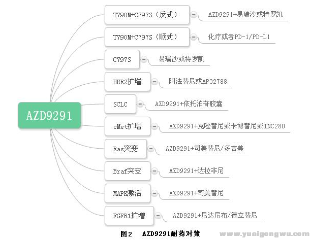 9291耐药后的可能突变情况