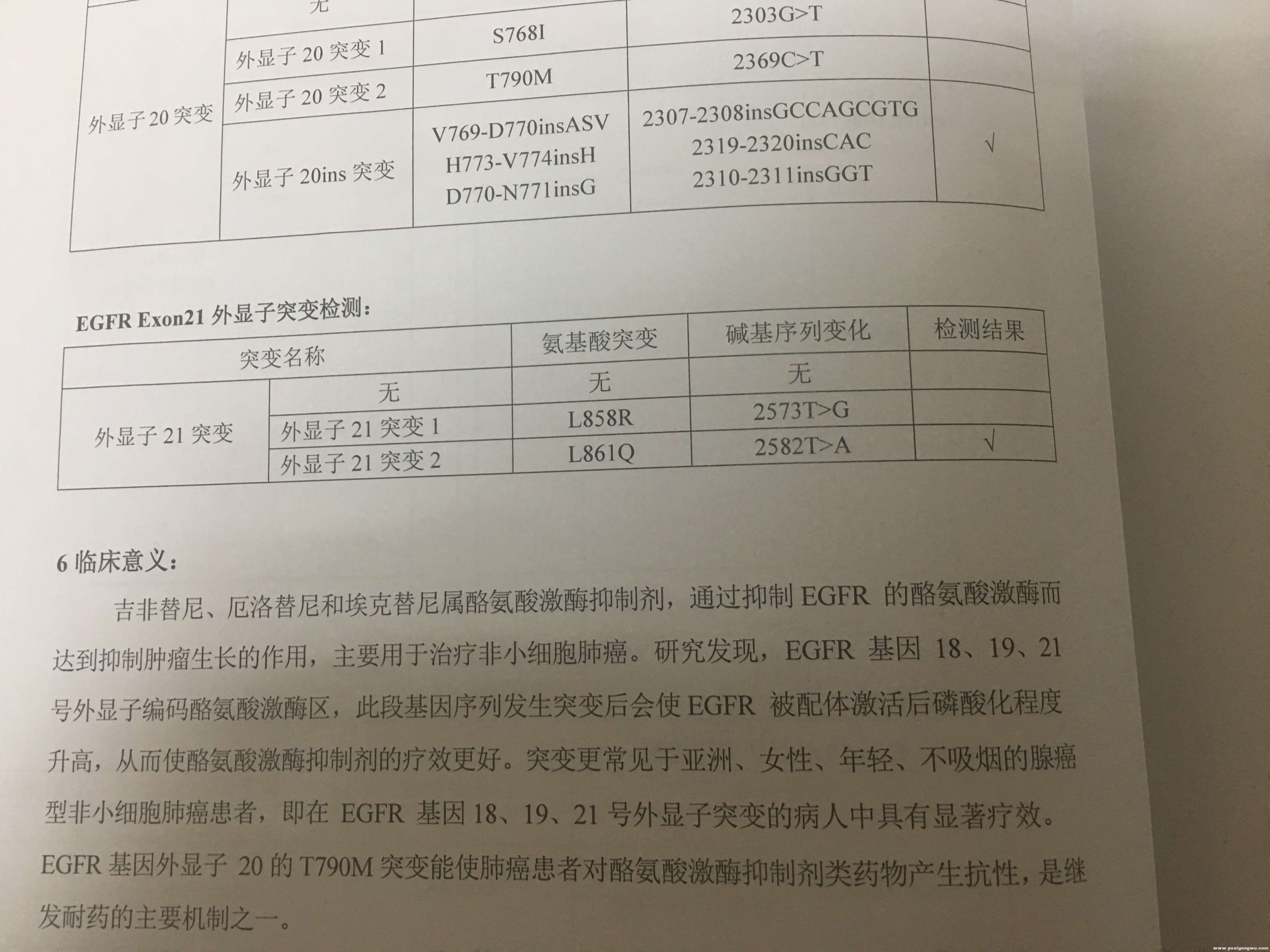 微信图片_20171102213818.jpg