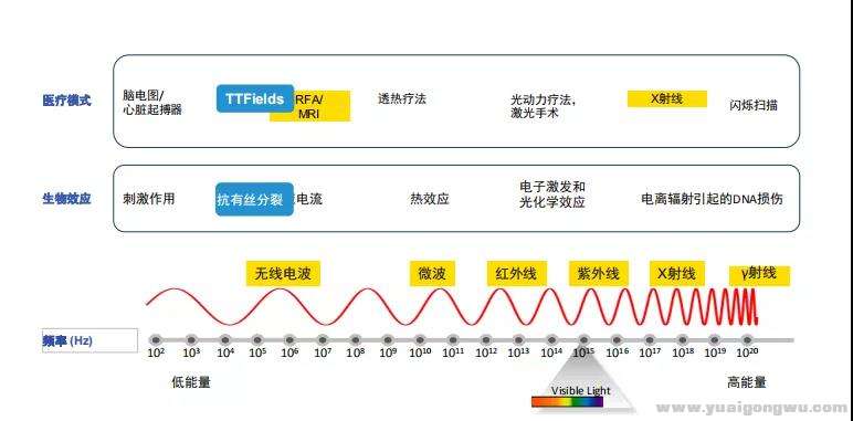 微信图片_20190911174836.jpg