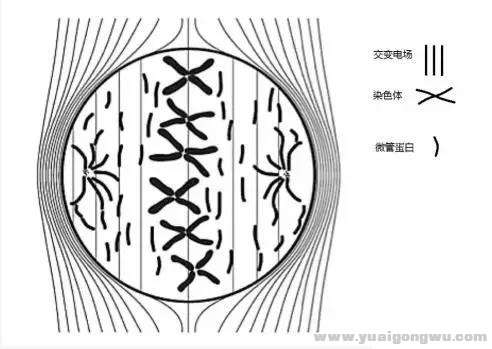 微信图片_20190911174904.jpg