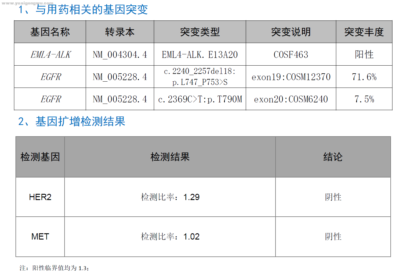 首次无ALK，第二次出现ALK阳性（无法检测丰度）