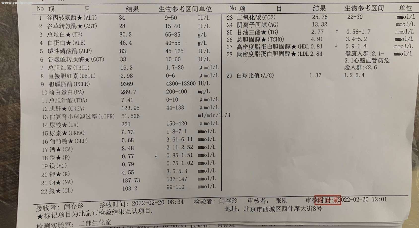 2022-02-20 血生化.jpg