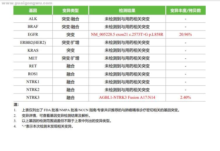 基因报告2.jpg