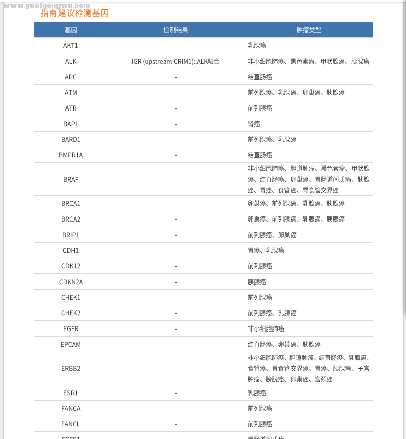 基因检测结果2.png